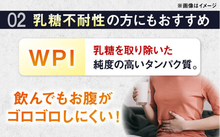 【アルプロン】【全12回定期便】プロテイン PRO WPI ダブルリッチチョコレート 900g WPIプロテイン [AIAL113]