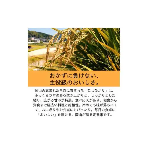 【令和7年産】無洗米 こしひかり 10kg 5kg×2袋 岡山県産 【先行予約 2025年10月上旬から順次発送】