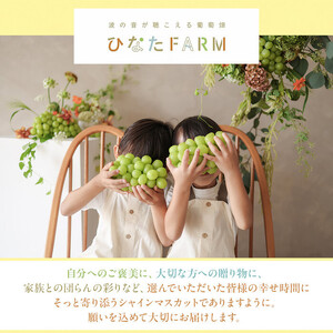 【家庭用】シャインマスカット 1kg ひなたFARM  | シャインマスカット