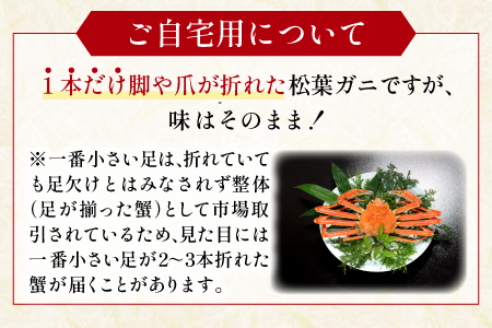 【蒸し】ご自宅用松葉ガニ 大 2枚【松葉ガニ 松葉がに 松葉蟹 まつばがに かに カニ 冷蔵 チルド ブランド ズワイガニ 蒸し ボイル 自宅用 国産 季節限定 お取り寄せ 鳥取県 日吉津村 日本海】