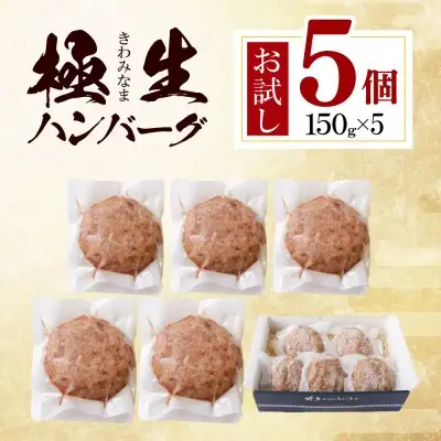 Z61-40 寄附額改定↓↓ 極生ハンバーグ 5個セット(150g×5) ハンバーグ