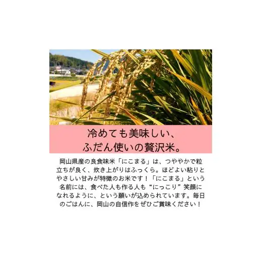 【令和7年産】岡山県産米 にこまる 10kg 5kg×2袋 【先行予約 2025年11月上旬から順次発送】
