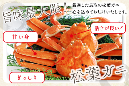 【蒸し】ご自宅用松葉ガニ 中 3枚 【松葉ガニ 松葉がに 松葉蟹 まつばがに かに カニ 冷蔵 チルド ブランド ズワイガニ 蒸し ボイル 自宅用 国産 季節限定 お取り寄せ 鳥取県 日吉津村 日本海】