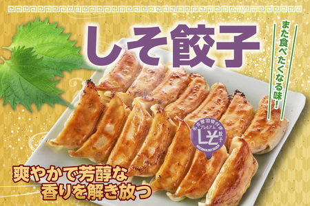 にこにこ餃子の名古屋餃子2種セット（120個入）（2344）