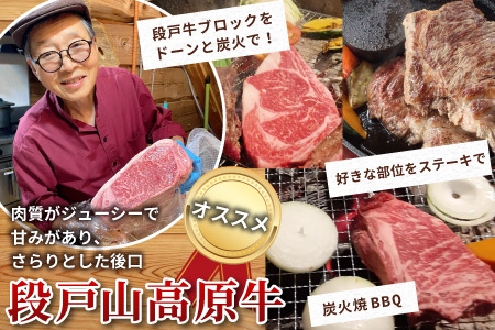 農園レストラン&BBQが楽しめる ログハウス ばんじゃーる駒ヶ原 お食事券 3000円 利用券 段戸山高原牛 ステーキ バーベキュー 食事 牛肉 野菜 食材 ハンバーグ -227