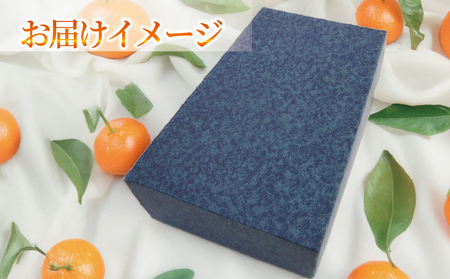 贈答用 愛果28号 ジュース 720ml × 2本 セット 化粧箱入り 元気や ジュース H015-176011