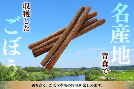 青森県産 乾燥 ごぼう 計40g(20g×2p) [柏崎青果 青森県 おいらせ町 oi02ayo620010]