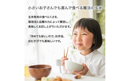 【有機玄米】希少な四万十の香る米 1升（1.5kg）セット 四万十INEKA（稲華香米） ／Fsg-05 小分け 便利 玄米 高知県 四万十町