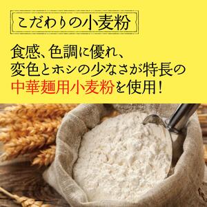 奥会津生中華麺10玉／冷やし中華レモン味 麺類 ラーメン 生ちぢれ 