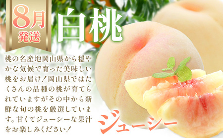 【2か月定期】岡山の 白桃 と シャインマスカット 計4kg【配送不可地域あり】桃 ﾏｽｶｯﾄ