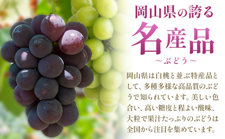 【10回定期便】岡山のぶどう 十撰 10種 計7kg【配送不可地域あり】ｼｬｲﾝﾏｽｶｯﾄ ぶどう