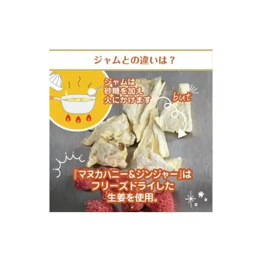 マヌカハニー＆沖縄県産ジンジャー 50g×2個