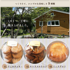 Lammin 焼き菓子セットＢ