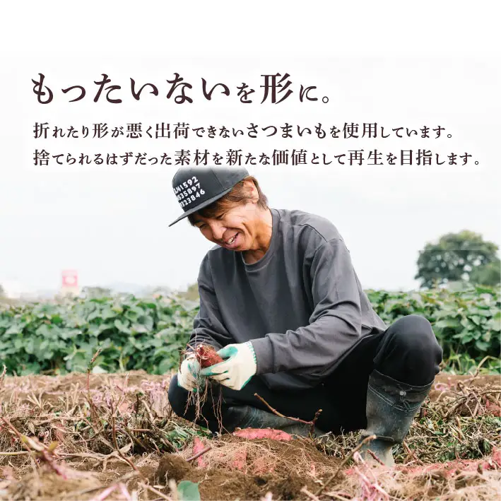 焼き芋クロワッサン 6個 さつまいも サツマイモ クロワッサン
