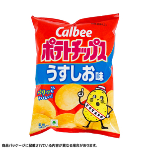 ポテトチップス カルビー うすしお味 55g×16袋 (BG026)