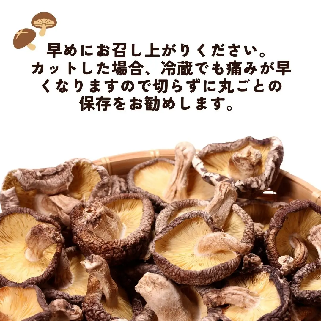 干し椎茸セット(どんこ・香信各100g×1/こつぶ80g×2) | 豊後高田市 椎茸