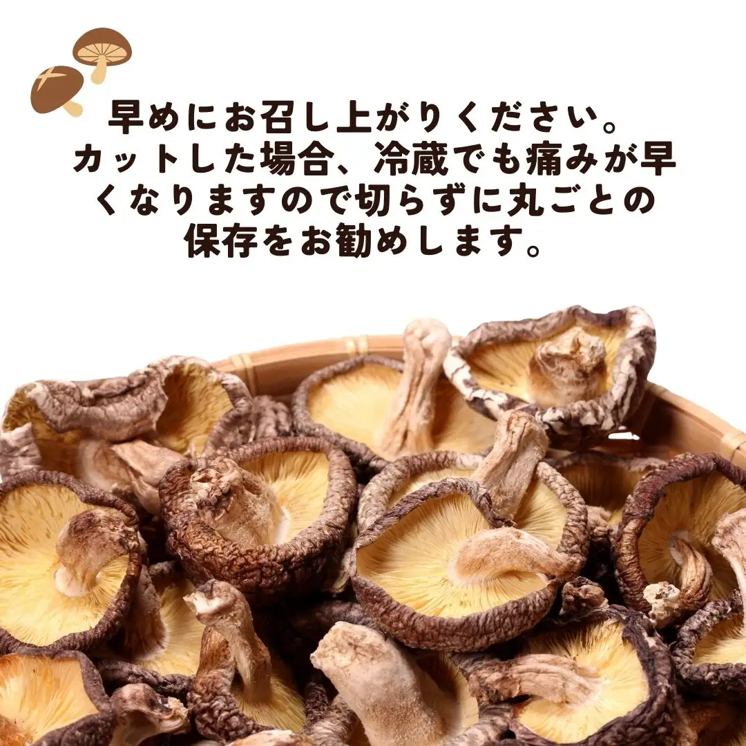 干しシイタケ(どんこ100g×2、こつぶ80g×2、スライス60g×2) | 豊後高田市 しいたけ