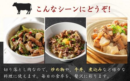 豊後牛 切落し(200g×4P） | 切落し 津久見市