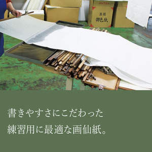 練習用半紙 墨仙