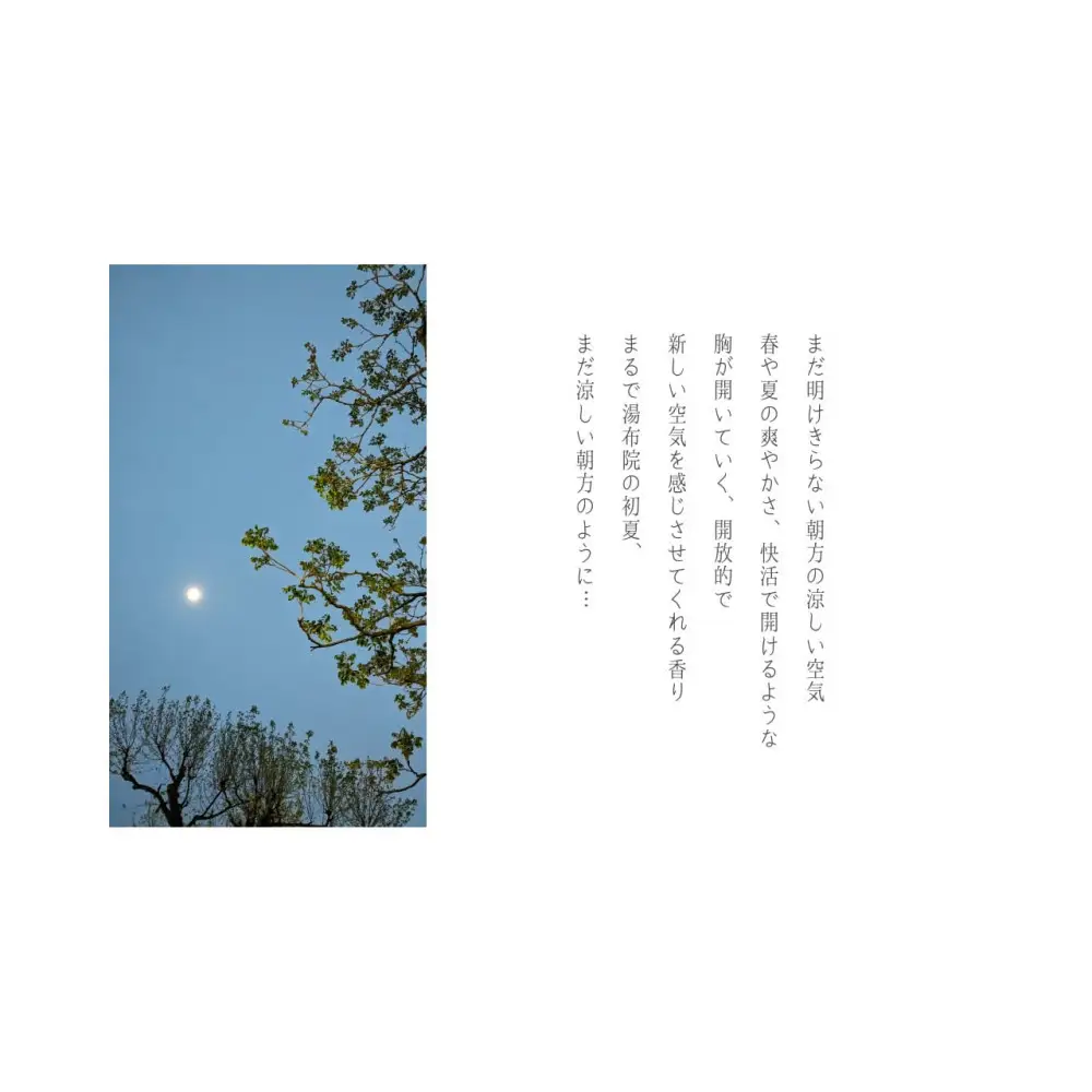 湯布院　ＭＩＫＡＴＡ KO-HA(香葉)のリードディフューザーNo.04 蒼爽