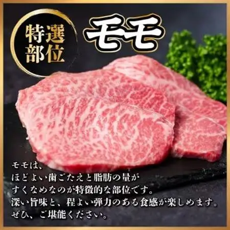 【毎月定期便】飛騨牛 赤身定期便 計4kg 焼肉 BBQ すき焼き しゃぶしゃぶ ブロック全4回【配送不可地域：離島】【4072655】