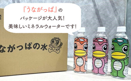 【6回定期便】 うながっぱの水 1ケース（ 500ml ペットボトル × 24本 ） 2 多治見市 /多治見市観光協会 ミネラルウォーター 備蓄[TAQ017]