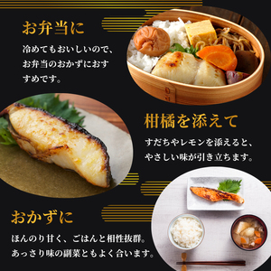 塩麹漬けセット 2パック（2～5切入り×2） 漬け魚