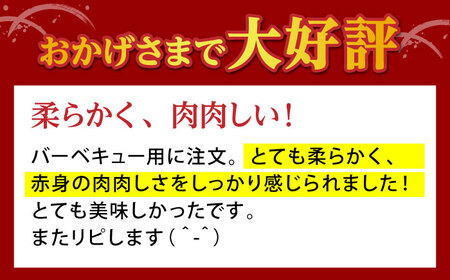 【全6回定期便】 佐賀牛 赤身 ステーキ（モモ）400g（200g×2枚） 【山下牛舎】[HAD168]