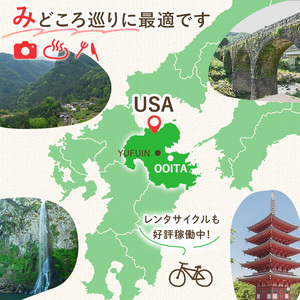 宇佐ホテルリバーサイド 1泊素泊まり宿泊券(シングルルーム) 【117400100】【宇佐ホテルリバーサイド】