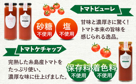 糸島のトマト農家が作る 無添加トマトピューレとケチャップ 3本セット 糸島市 / かわぞえ農園 ケチャップ トマトピューレ [AAM008] 11000 11000円