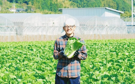 【白菜】白菜 10kg（3L×3-4玉）【11月下旬から順次発送】[AGDH008]