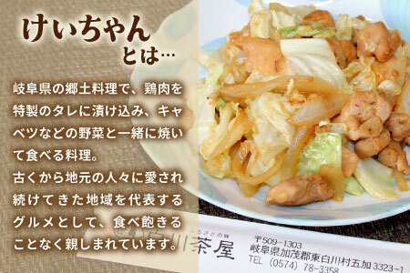 けいちゃん 4袋 手作り 郷土料理 鶏肉 もも肉 むね肉 ひね肉 親鶏 親鳥 味付け肉 味付き ごはんのおとも タレ おかず 簡単おかず