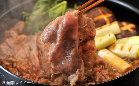佐賀牛 ももスライス 1kg（500g×2P） / 佐賀県 / 織田精肉店 [41ADAB006]