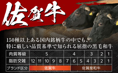 【全6回定期便】佐賀牛切り落とし 計3kg（500g×6回） / 佐賀県 / 株式会社中山牧場[41AOCW021]