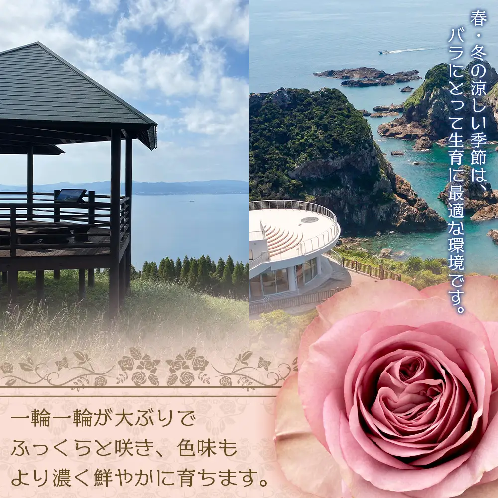 【人気の春・冬薔薇をお届け】 ばら農家直送 ！ バラ花束15本以上お届け(赤系) 【ギフト対応可】 TB-9│ローズ 新鮮 花 フラワー 花束 ばら 薔薇 バラ 誕生日 記念日 結婚祝い ギフト プレゼント お祝い 贈り物 贈答 鹿児島県 南大隅町 富田バラ園