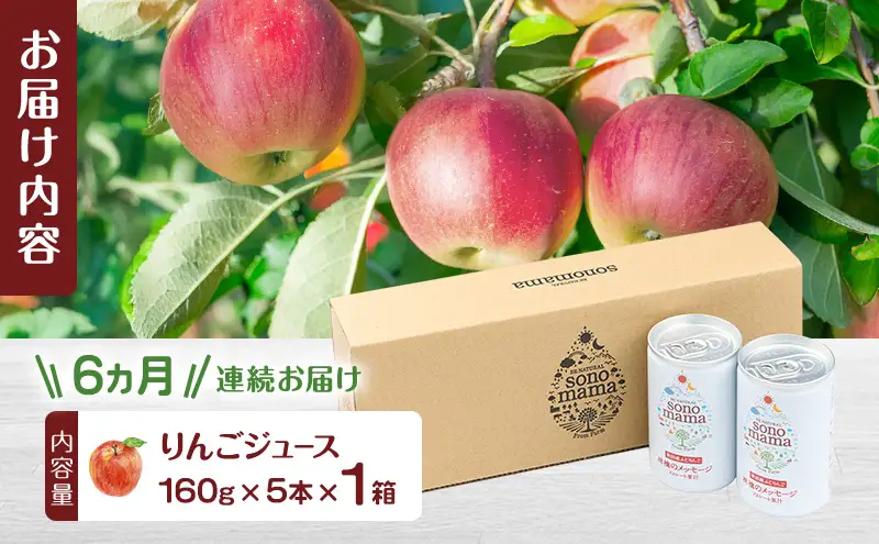 《 定期便 6ヵ月 》 りんごジュース「sonomama」（160g×5本）×1箱 りんご リンゴ ジュース リンゴジュース 飲料