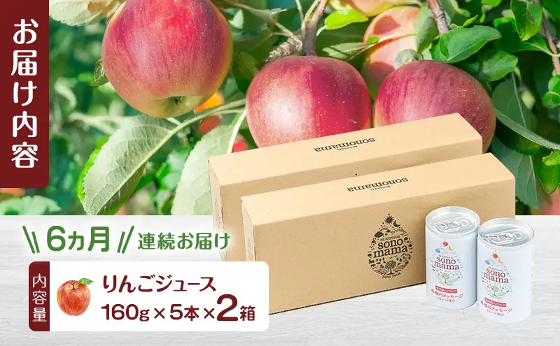 《 定期便 6ヵ月 》 りんごジュース「sonomama」（160g×5本）×2箱 りんご リンゴ ジュース リンゴジュース 飲料