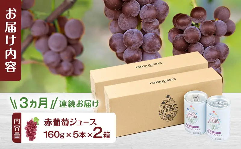 《 定期便 3ヵ月 》 赤葡萄ジュース「sonomama」（160g×5本）×2箱 ぶどう ブドウ ジュース ぶどうジュース 飲料