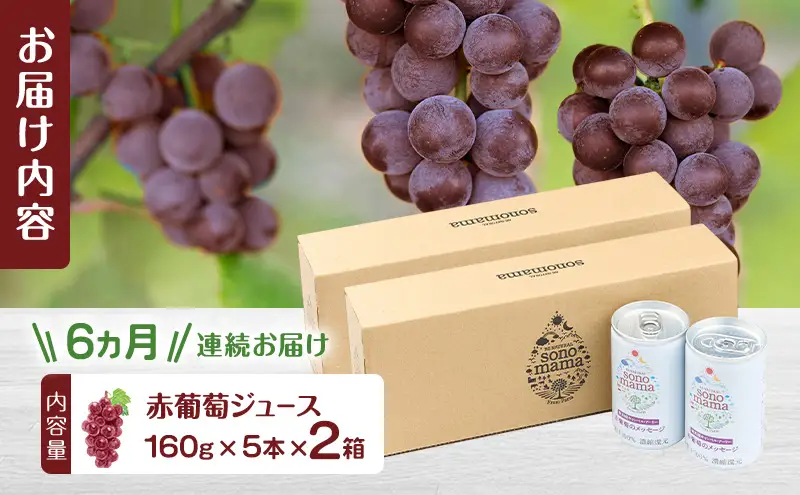《 定期便 6ヵ月 》 赤葡萄ジュース「sonomama」（160g×5本）×2箱 ぶどう ブドウ ジュース ぶどうジュース 飲料