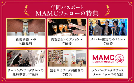【六本木ヒルズ】森美術館年間パスポート　（森美術館メンバーシップ　フェロー入会） │ 東京 美術館 チケット