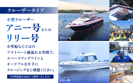 小型クルーザー貸切　東京ベイエリア クルージング体験（3名様　60分） │ 東京 体験 クルーズ