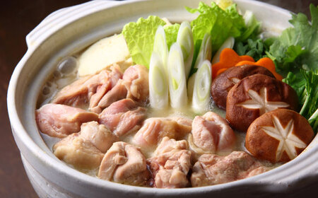 訳あり 博多水炊き 10人前セット [BGAB107] 水炊き 訳あり 人気
