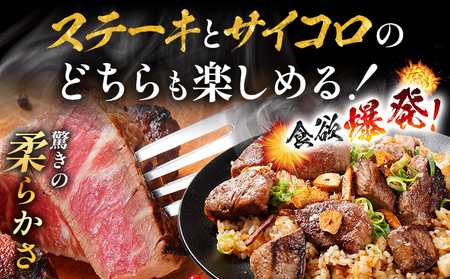九州産黒毛和牛 ヒレステーキ 旨味仕立て 400g 国産 黒毛和牛 和牛 肉 ヒレ ステーキ サイコロ 冷凍 味付け肉 福岡 九州 グルメ