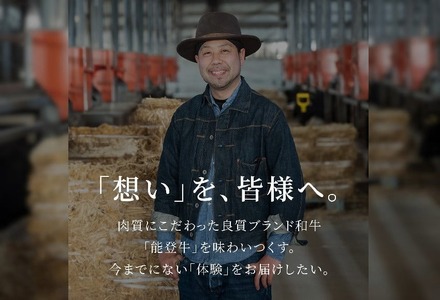 【和牛セレブ】能登牛 サーロインステーキ 240g wa111-001