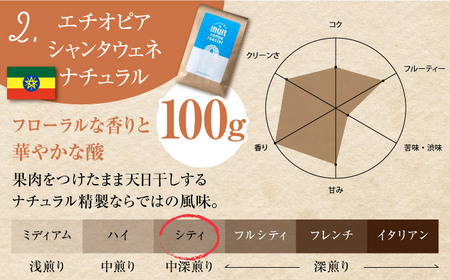 【全12回定期便】 【中粗挽きタイプ】 フルーティな中煎り ＜スペシャルティコーヒー＞ 400ｇセット 【イヌイットコーヒーロースター】[ASAB033]