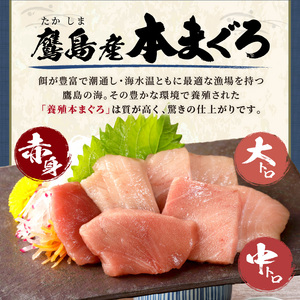 鷹島産本まぐろ 食べきりサイズ(80g×10p)とアジフライのセット(4枚×5p) (魚 マグロ あじ 鯵) 【D5-014】