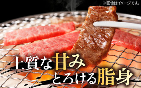 葉山牛 上カルビ500g／ カルビ [ASAP025]