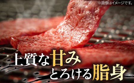 【全12回定期便】 葉山牛 上カルビ300gカルビ300g／カルビ 上カルビ[ASAP052]