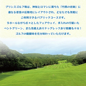 ゴルフ ゴルフ場 ゴルフ利用券 プリンスゴルフクラブ 5,000円分×9枚 合計45,000円分  利用券 プレー チケット 誕生日プレゼント 父の日 宮若市 福岡県 送料無料 M822-150