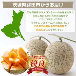 5月上旬～発送【不揃い訳ありクインシーメロン 1玉】＼上品な甘さとジューシーな食感！／茨城県鉾田市産 クインシーメロン めろん 1玉｜先行予約 赤肉 産地直送 追熟 国産 フルーツ 果物 ご自宅用 おすすめ 人気 内山農園